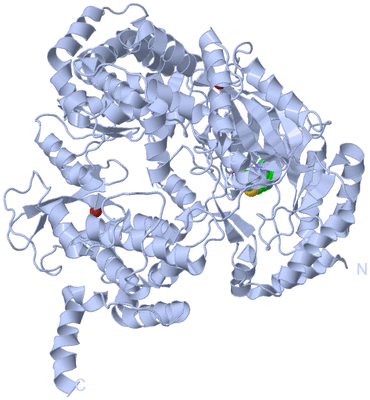 Image Biological Unit 1