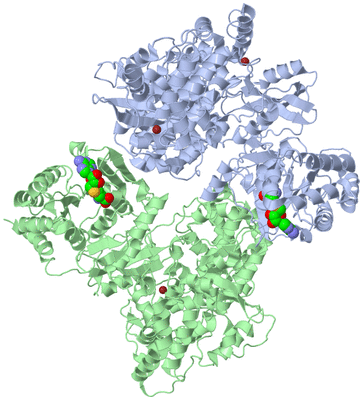 Image Biological Unit 10