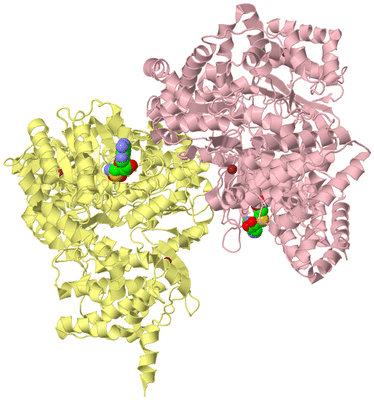 Image Biological Unit 11