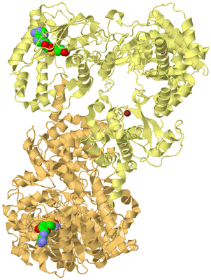 Image Biological Unit 12