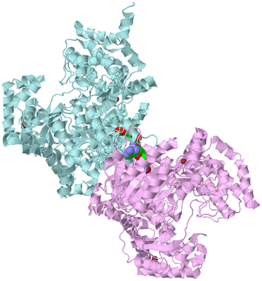 Image Biological Unit 13