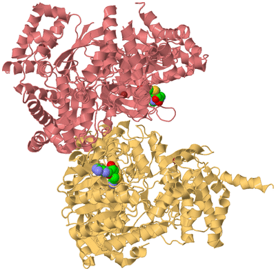 Image Biological Unit 14