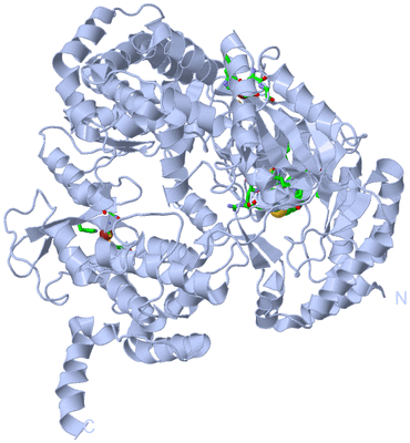 Image Biol. Unit 1 - sites