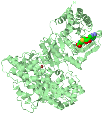 Image Biological Unit 2