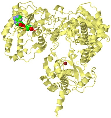 Image Biological Unit 4