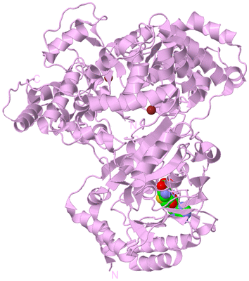 Image Biological Unit 5