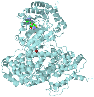 Image Biological Unit 6