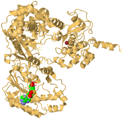 Image Biological Unit 7