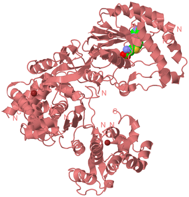 Image Biological Unit 8