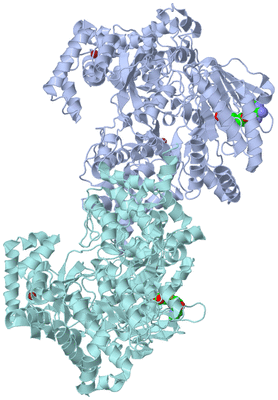 Image Biological Unit 9