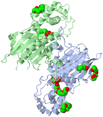 Image Biological Unit 1