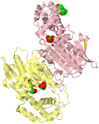 Image Biological Unit 2