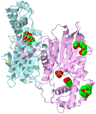 Image Biological Unit 3