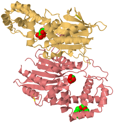 Image Biological Unit 4