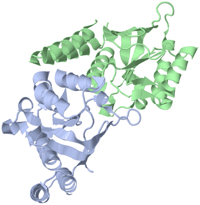 Image Asymmetric Unit