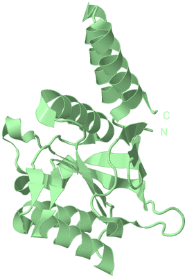 Image Biological Unit 2