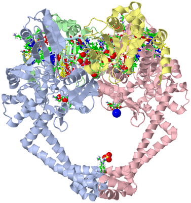 Image Biol. Unit 1 - sites