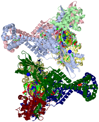 Image Asym. Unit - sites