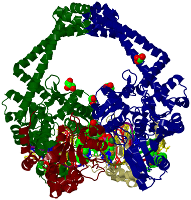 Image Biological Unit 2