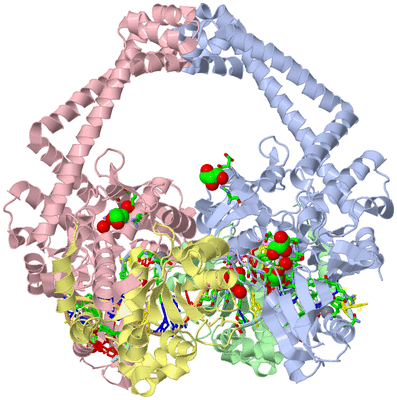 Image Asym./Biol. Unit - sites