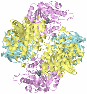 Image Biological Unit 2