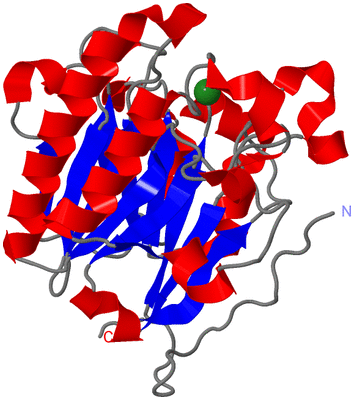 Image Asym./Biol. Unit