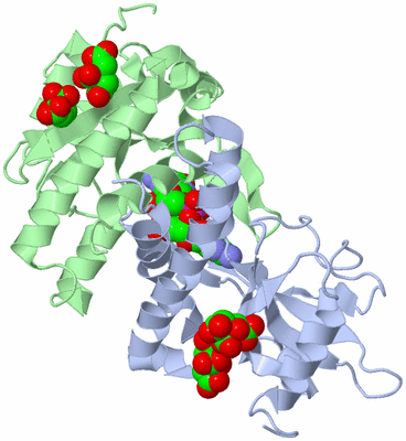 Image Asym./Biol. Unit