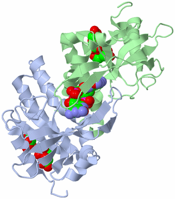 Image Asym./Biol. Unit