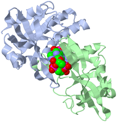 Image Asym./Biol. Unit