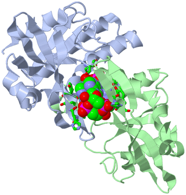 Image Asym./Biol. Unit - sites