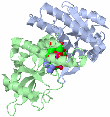 Image Asym./Biol. Unit