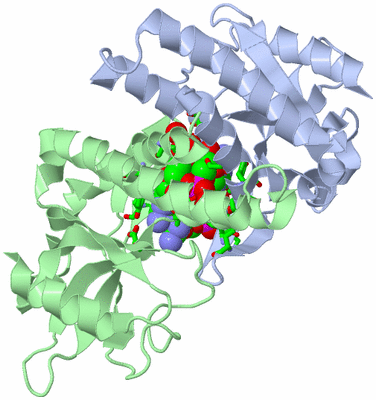 Image Asym./Biol. Unit - sites