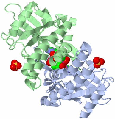 Image Asym./Biol. Unit