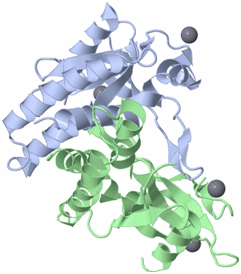 Image Asym./Biol. Unit