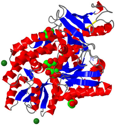 Image Asym./Biol. Unit