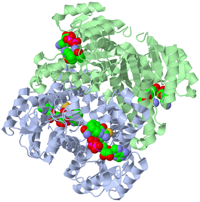 Image Biological Unit 1