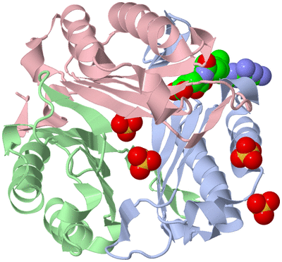 Image Asym./Biol. Unit