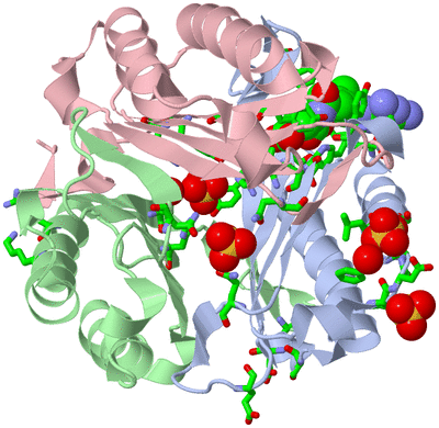 Image Asym./Biol. Unit - sites