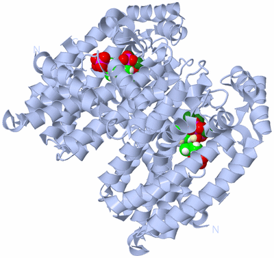 Image Biological Unit 1