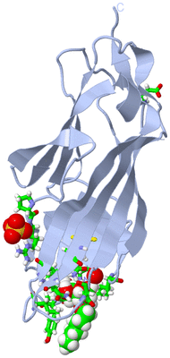 Image Biol. Unit 1 - sites