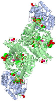 Image Biol. Unit 1 - sites