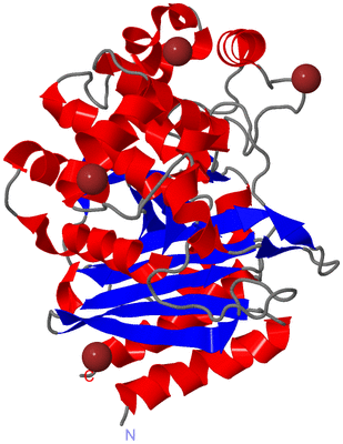 Image Asym./Biol. Unit