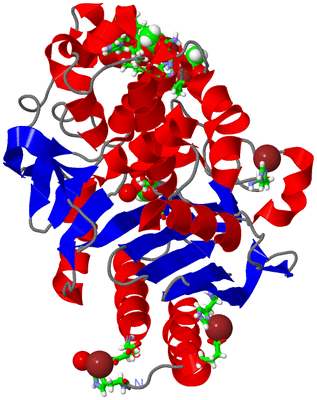 Image Asym./Biol. Unit - sites