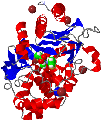 Image Asym./Biol. Unit