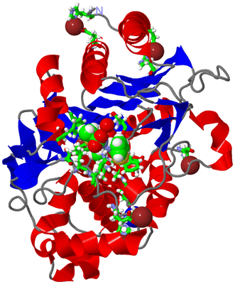 Image Asym./Biol. Unit - sites