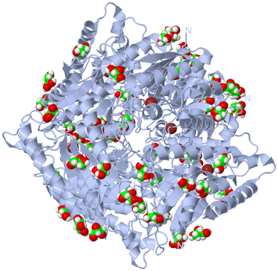 Image Biological Unit 1