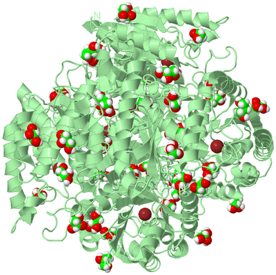 Image Biological Unit 2