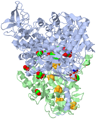 Image Biological Unit 1