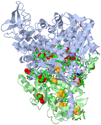 Image Biol. Unit 1 - sites