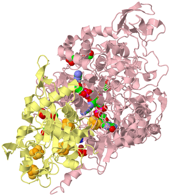 Image Biological Unit 2